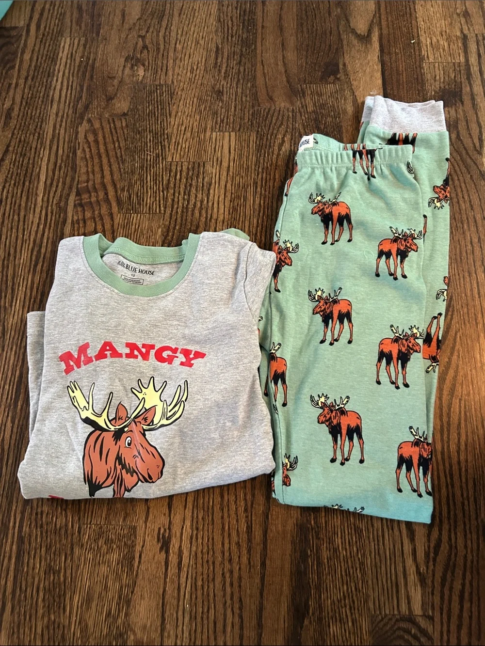 Kids Moose Graphic Pajama Set - Gray Top & Green Pants